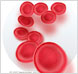 blood_cells